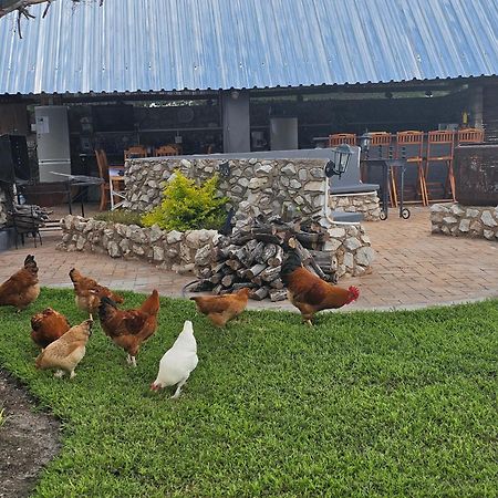 Tamboti Farm Accommodation Tsumeb Eksteriør bilde