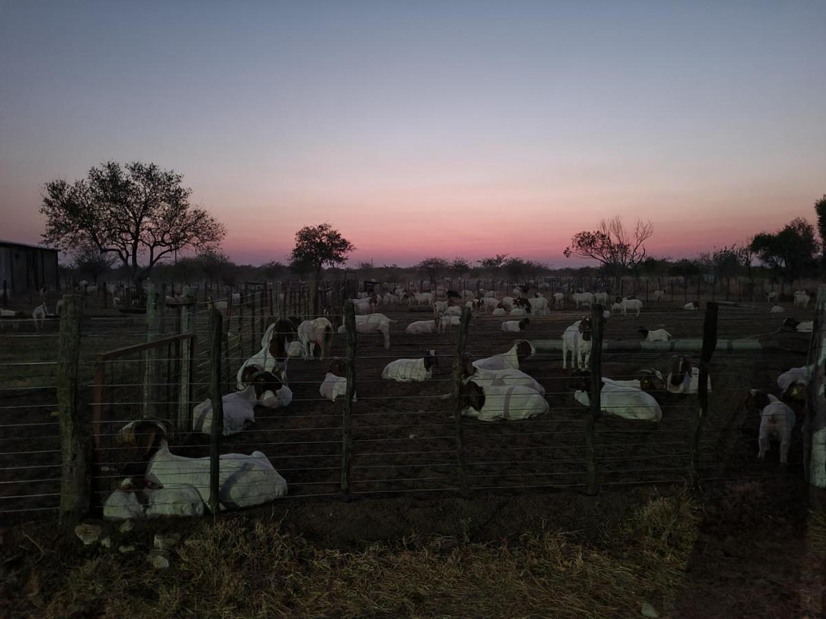 Tamboti Farm Accommodation Tsumeb Eksteriør bilde