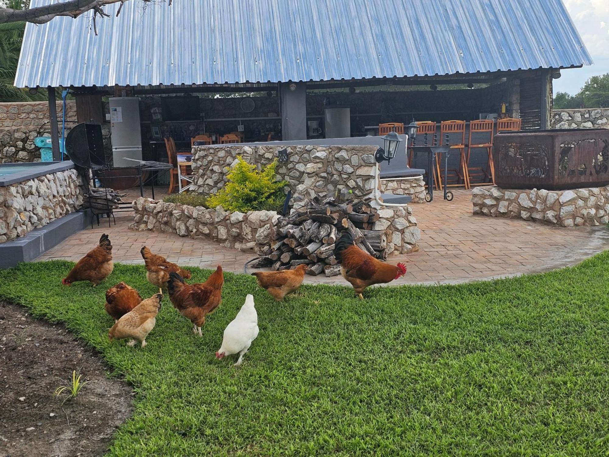 Tamboti Farm Accommodation Tsumeb Eksteriør bilde