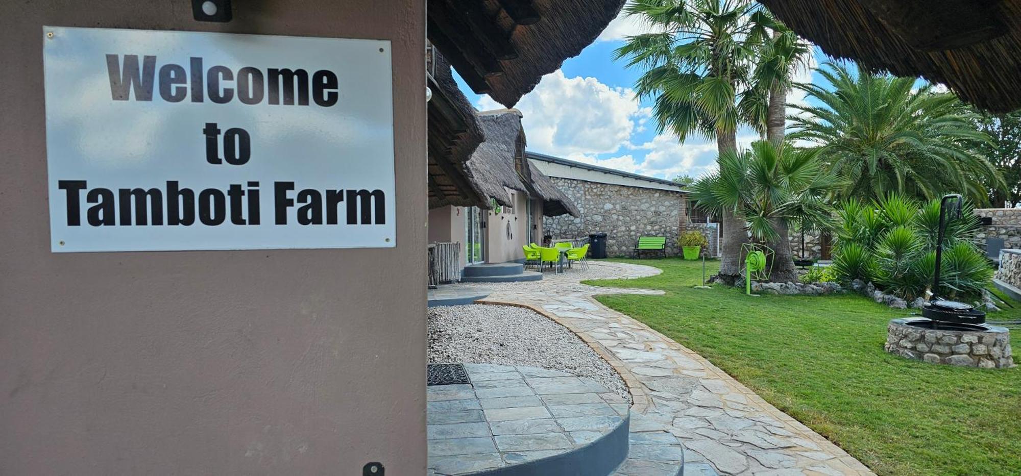 Tamboti Farm Accommodation Tsumeb Eksteriør bilde